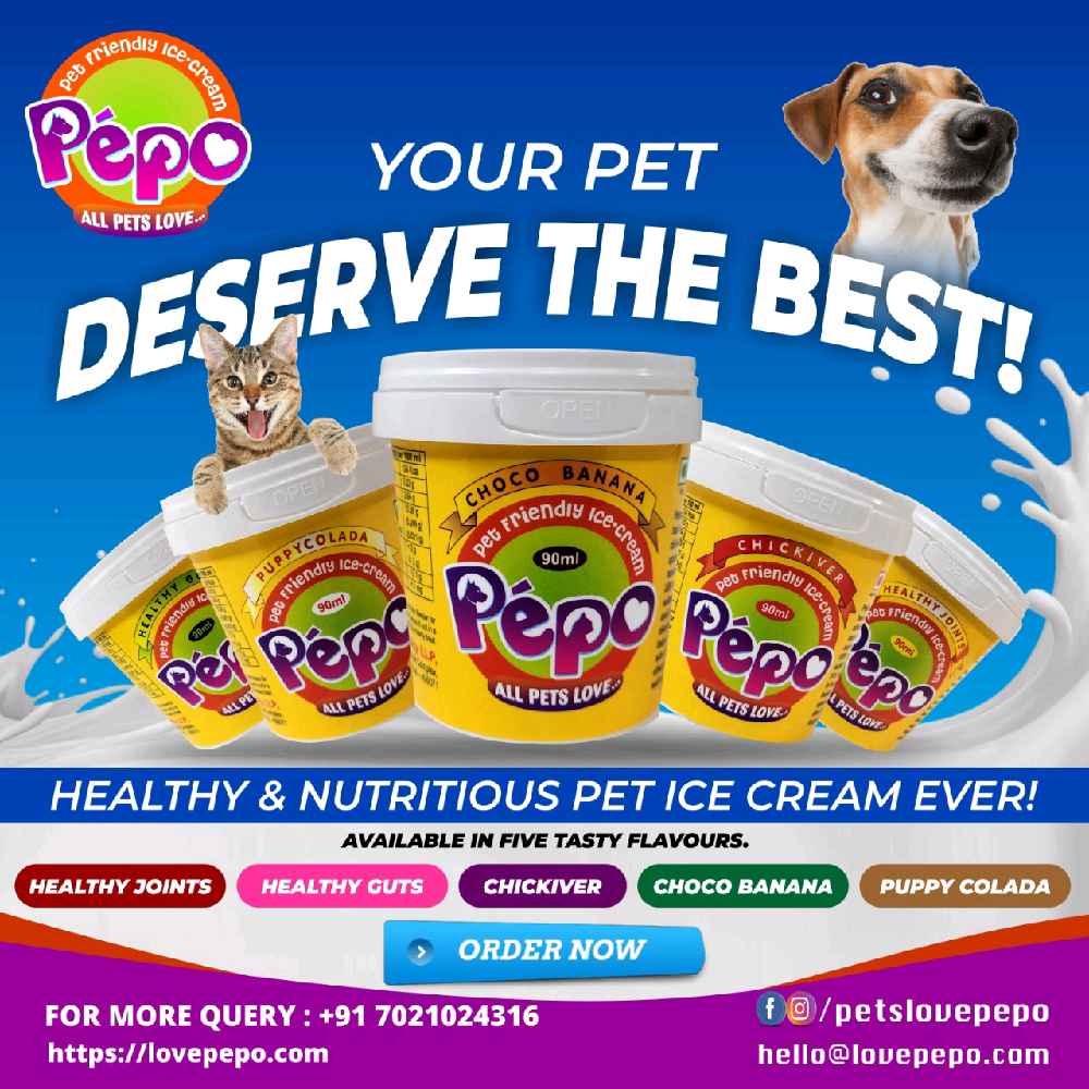 Pack of 5