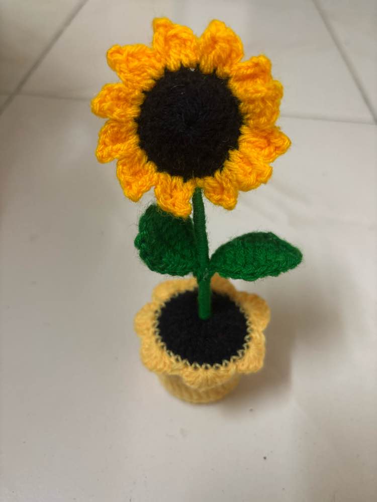 Handmade Flower pot 